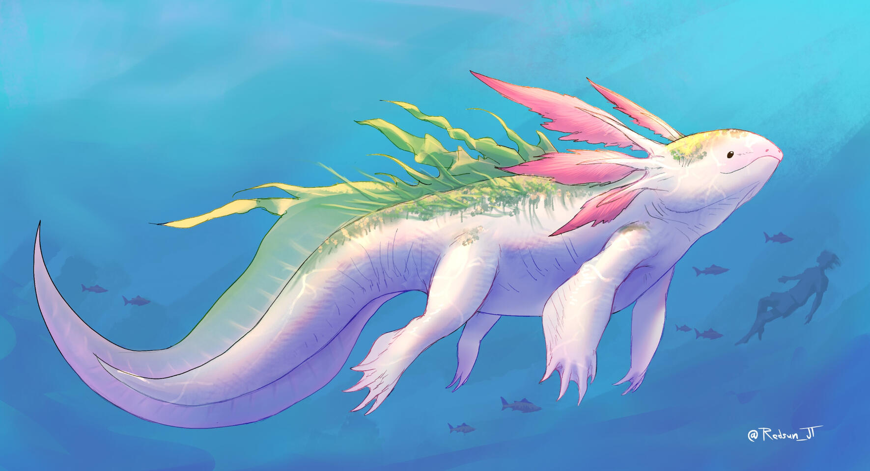 Axolotl